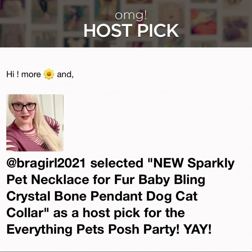 Sparkly Pet Necklace for Fur Baby - Picture 2 of 8